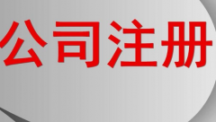 ��ó��˾ע���ʽ�Ҫ��ע��ɹ���ѯ����