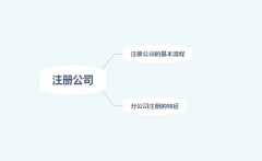 ע�ṫ˾����Щ�������̣��ֹ�˾ע��ԭ������Щ������